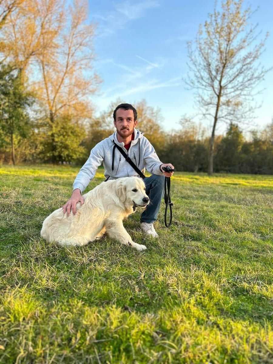 Profil de Sabri