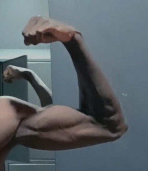 Profil de Talel
