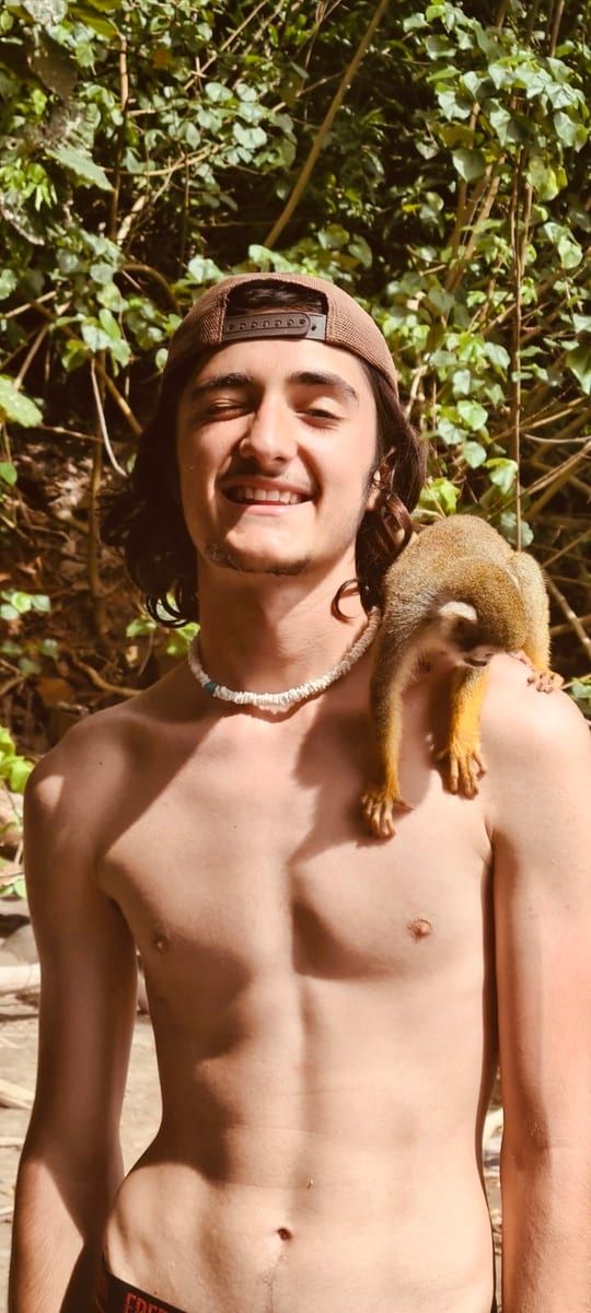 Profil de Maori